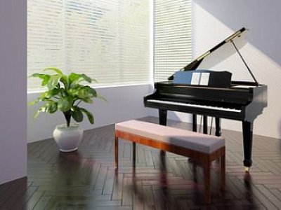 Das-Klavier-muss-mit - arsdigital.de - Fotolia.com