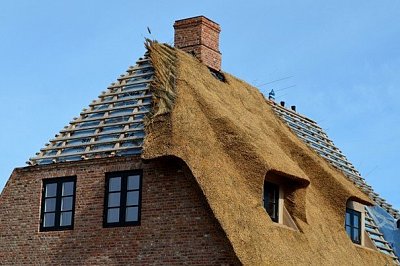 Nur wenige Dachdeckerbetriebe können heute Reetdeckung anbieten. - © Detmold via pixabay